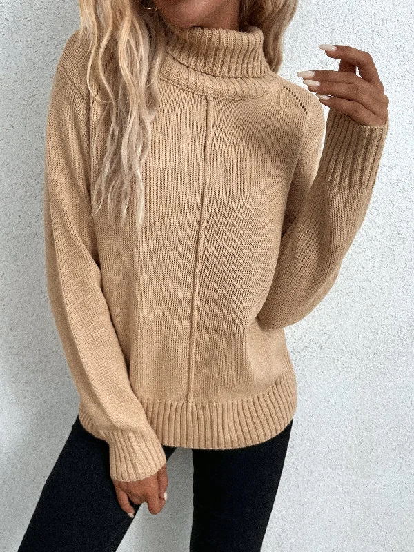 Casual Plain Long Sleeve High Neck Regular Women Sweater